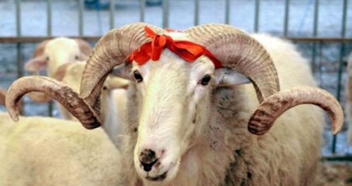 Zəngin və kasıbları bir araya gətirən bayram