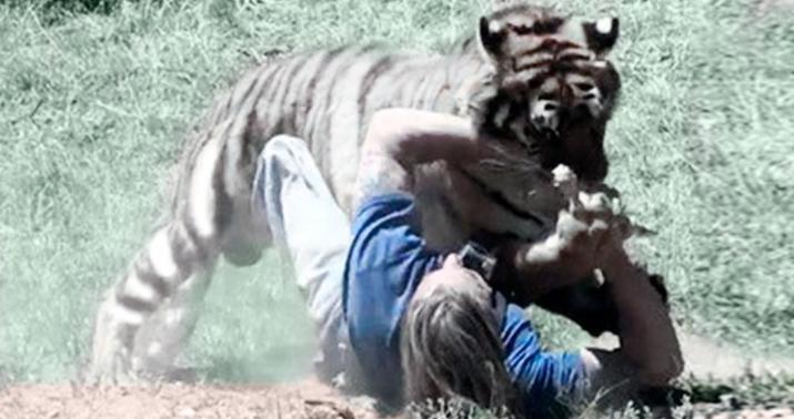 Pələng zoopark işçisini parçaladı - DƏHŞƏT