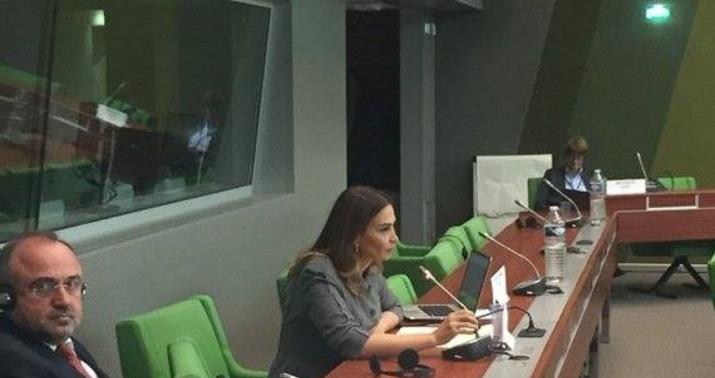 Qənirə Paşayeva erməni deputatı susdurdu