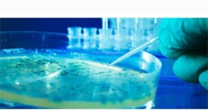 Xərçəng şişini məhv edən nanorobotlar yaradıldı