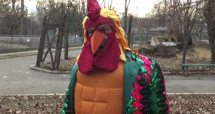 Zoopark direktorundan “Xoruz” ilinə qeyri-adi dəstək – VİDEO