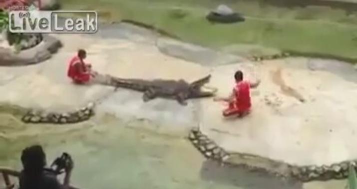 Zooparkda dəhşətli anlar - VİDEO