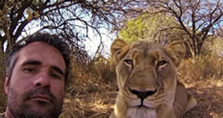 Şirlər selfi çəkmək istəyən 3 nəfəri parçaladı