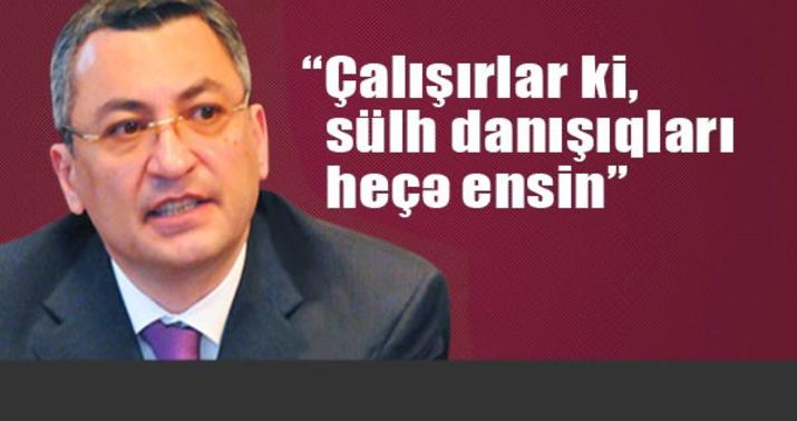 Rövşən Rzayev: “Onlar normal siyasi düşüncədən uzaqdırlar” - MÜSAHİBƏ