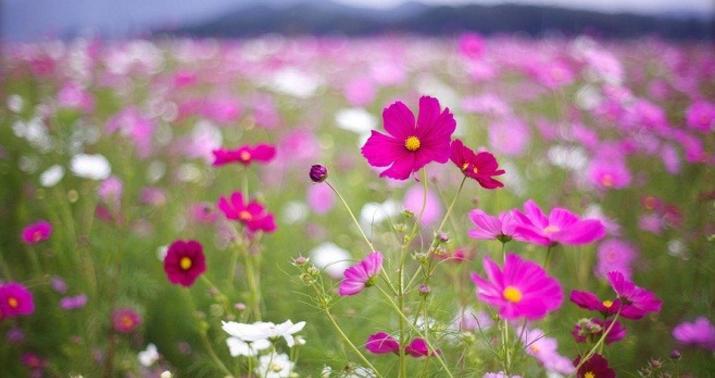 Bahar Azərbaycana qədəm qoydu