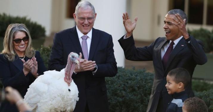 Obama 2 hind quşunu əfv etdi – FOTO