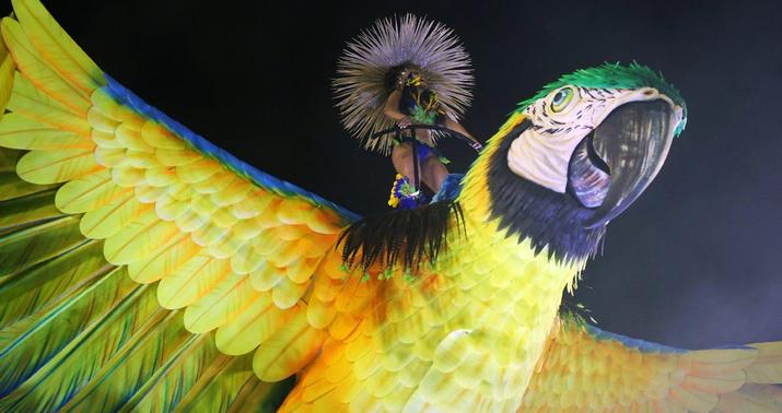 Braziliya karnavalı - FOTOLARDA