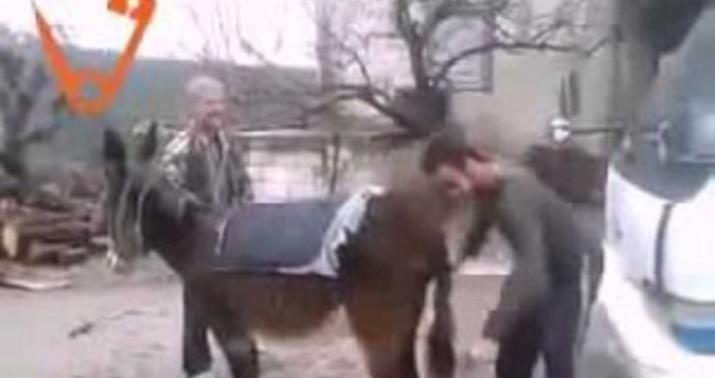 Eşşəyini avtobusla Moskvaya göndərdi