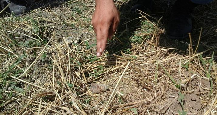 Cəbrayılda mina partlayışı ilə bağlı yeni məlumat: