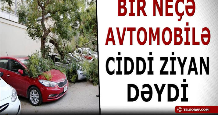 Bakıda güclü küləyin fəsadları - FOTO - VİDEO