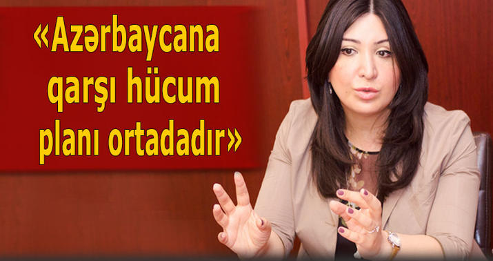Aynur Camalqızı: "Xüsusi xidmət orqanları Arif Məmmədovun əlaqələrini araşdırmalıdır" - MÜSAHİBƏ