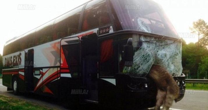 Avtobusda İblis rəqəmi yazıldı - FOTO