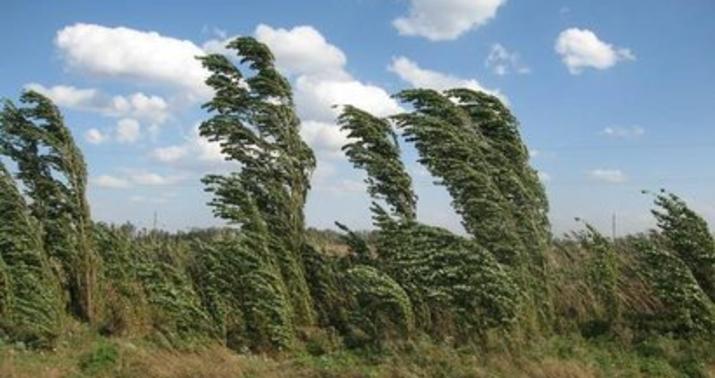 Temperatur yenidən enəcək, şimal küləyi əsəcək