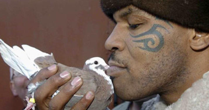 Tayson yenidən gündəmdə