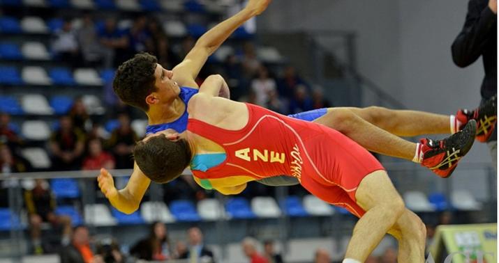 "Avropa Oyunlarında güləşin hər növündən ən azı 2-3 qızıl medal gözləyirik"
