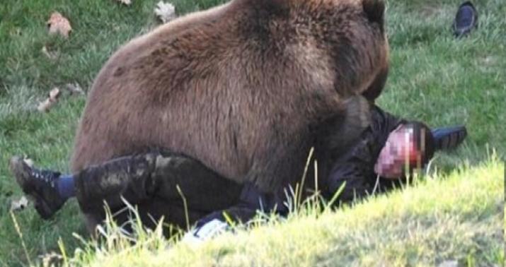 Zooparkda dəhşət: ayı gənci parçaladı  - VİDEO/FOTO/18+