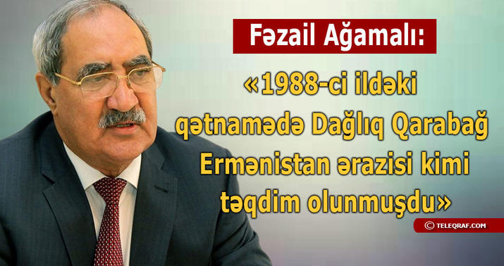 “Qətnamə Azərbaycanın Ermənistana güc nümayiş etdirməsinə görədir” - MÜSAHİBƏ